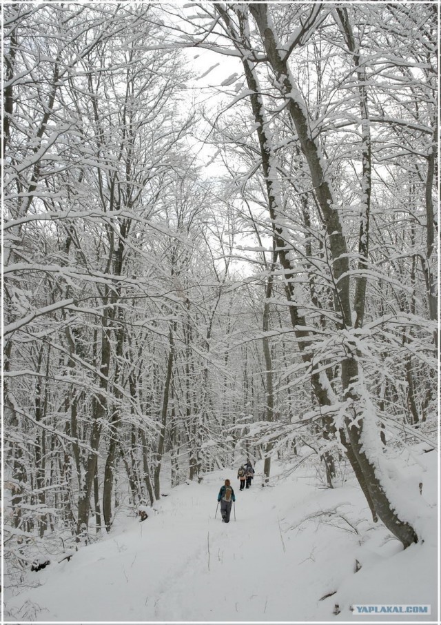 Крым. Терновка. Зимние дороги.
