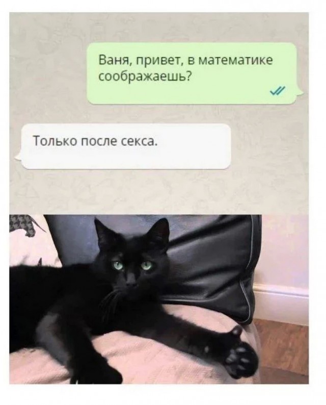 Картинки и мемы. Выходные близко...