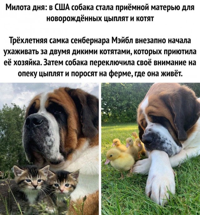 Картинки и мемы. Выходные близко...