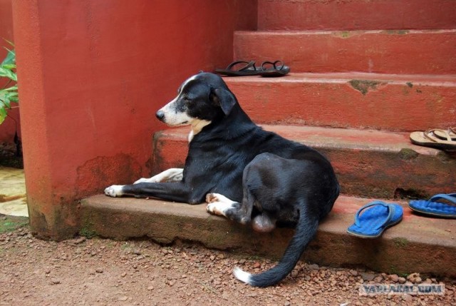 ГоА свои впечатления