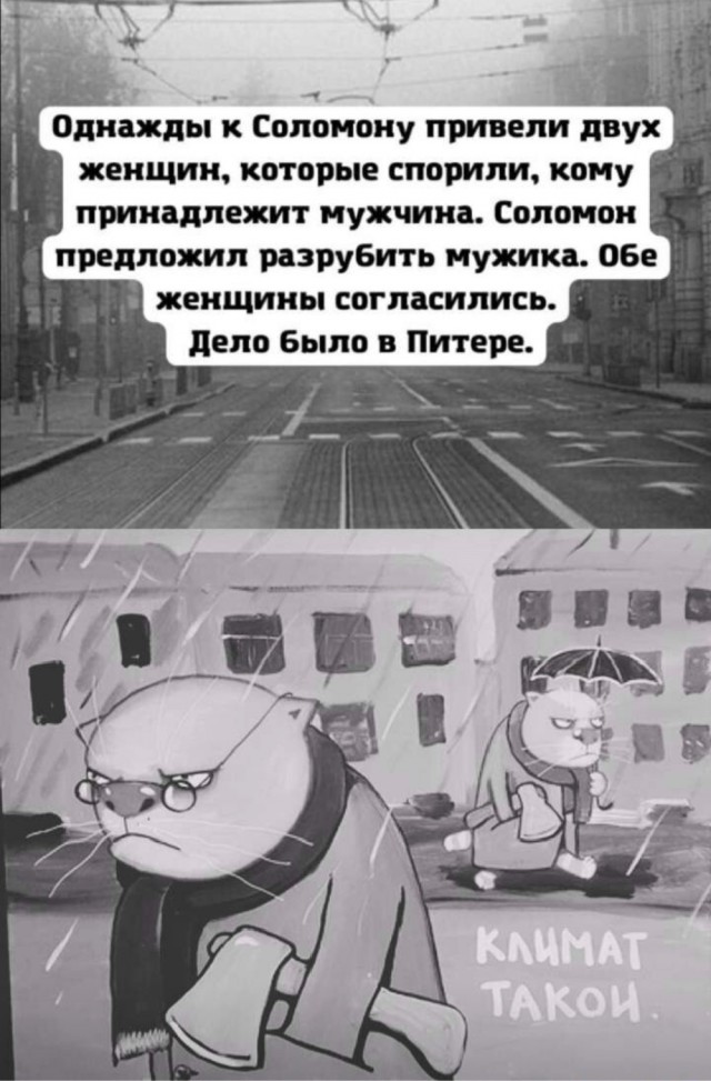 В парке на севере Санкт-Петербурга обнаружена человеческая нога