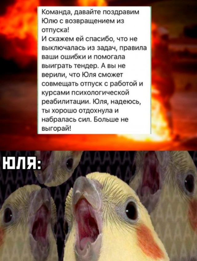 Картинки и мемы, всем хороших выходных