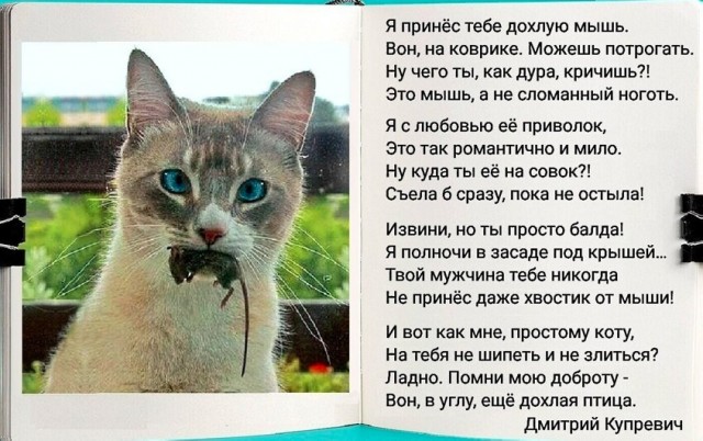 Так себе картинки 26.02.23
