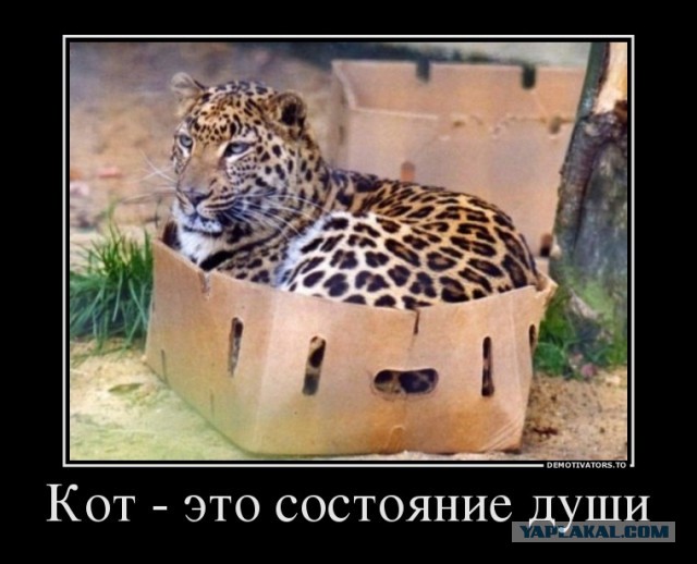КОКС-1001.2