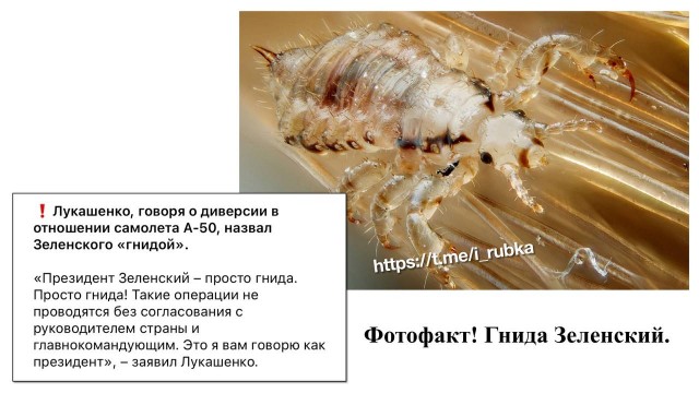 Заявление Лукашенко про гниду Зеленского