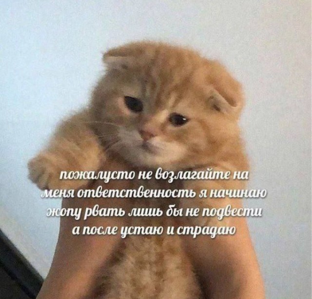 Всего понемногу. От 12.08