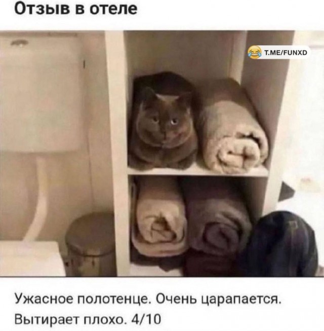 Недопятница 09-11-2023