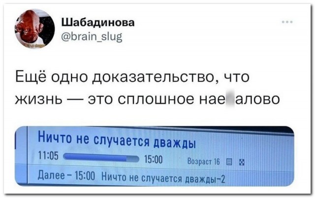 Забавные комментарии из социальных сетей (22.01.24)