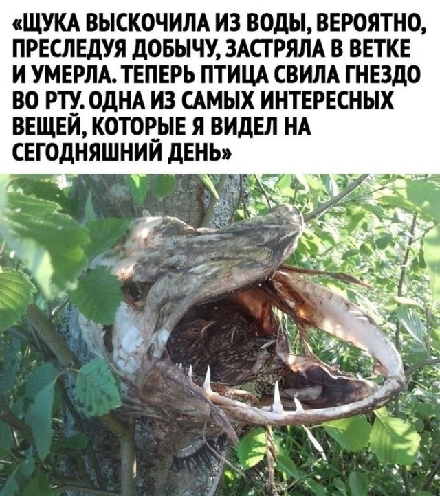 Смешал, но не взбалтывал: 03.02.24