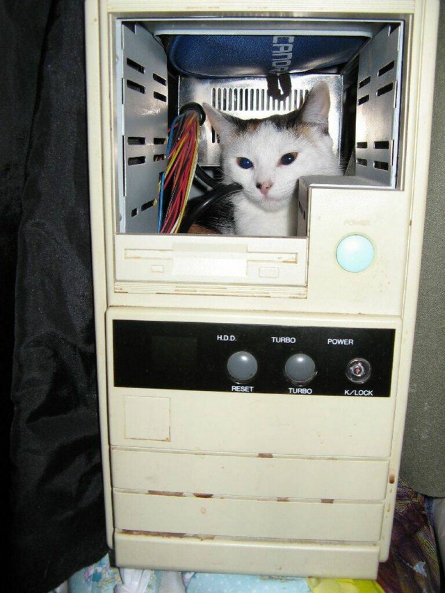 ФотоВинегрет
