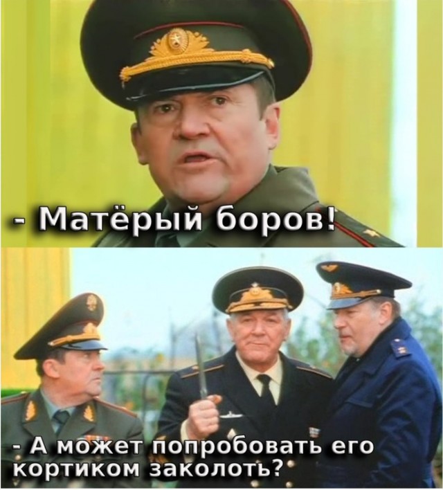 Маленький и злой кабанчик