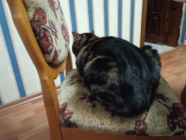 Блин. На меня пацан обиделся!