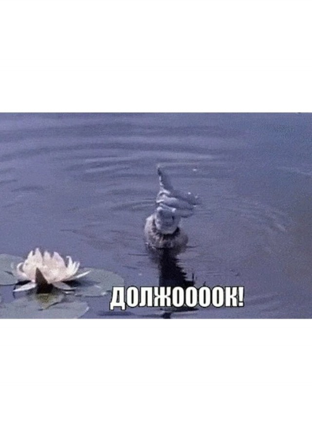 Камалла обещала
