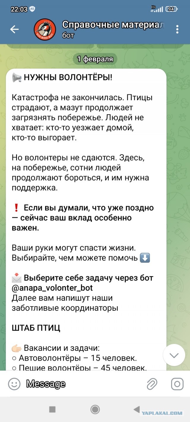 Волонтеров, спасающих птиц на Кубани, обяжут регистрироваться и иметь прививки. Рекомендации разработали в Минприроды