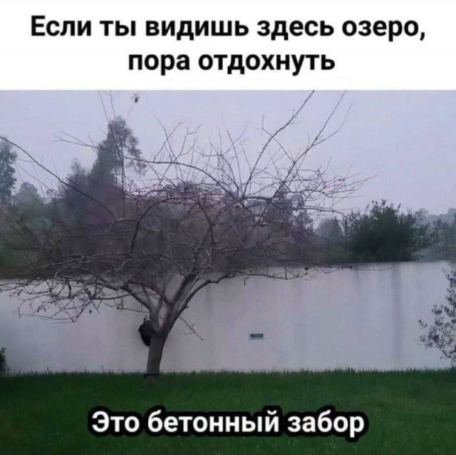Так себе картинки 01.03.25