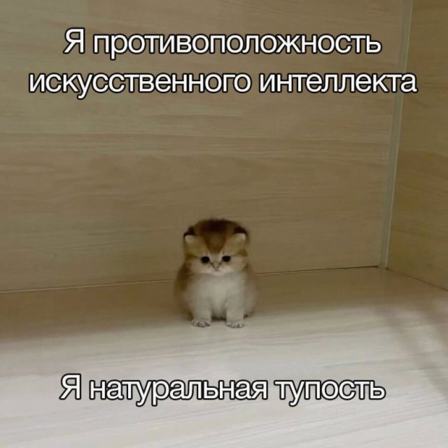 Деградильня