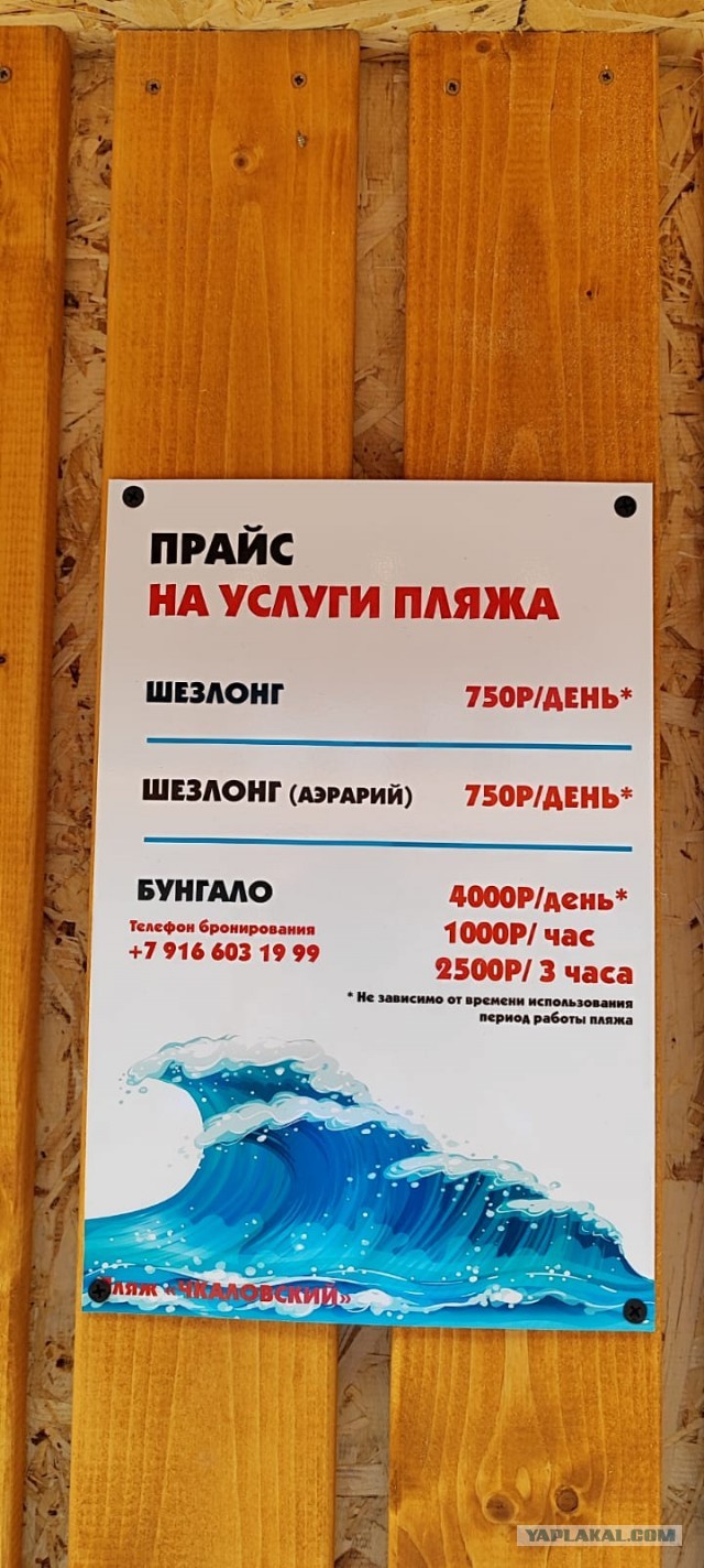 Водитель электрокара избил туристку в Курортном городке Адлера за замечание о парковке.