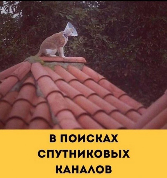 Картинки для деградации 56 (разной степени свежести)