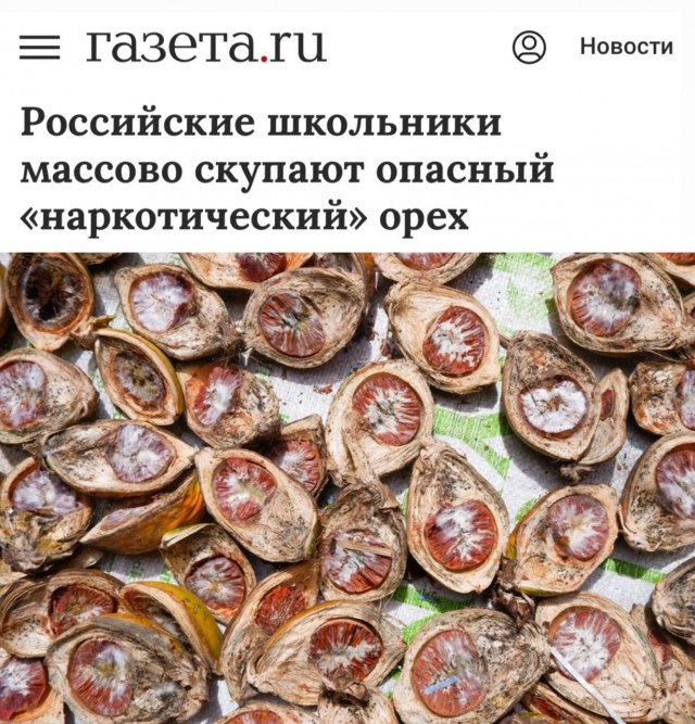 В ГД просят запретить продажу "опьяняющих" орехов на маркетплейсах