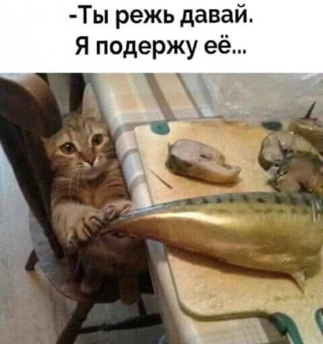 Среды картинки