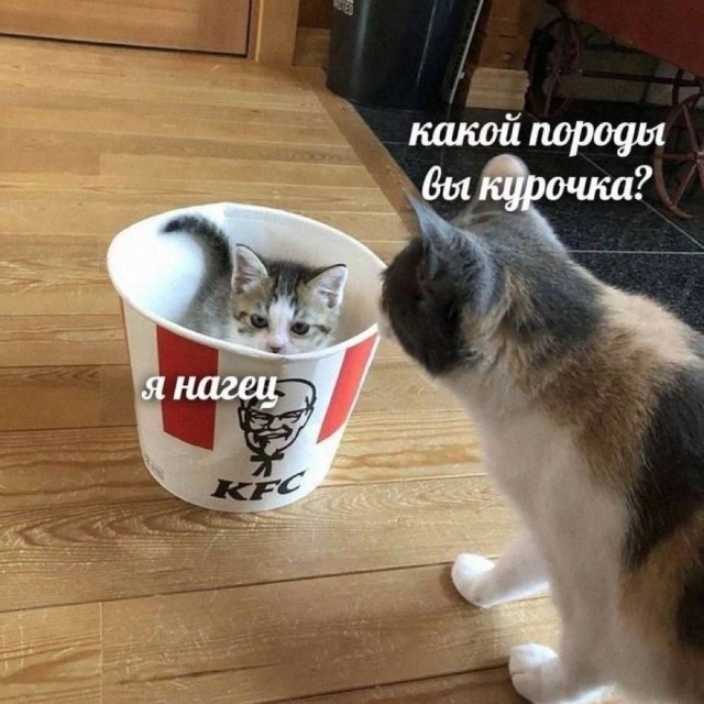 Четверговые картинки