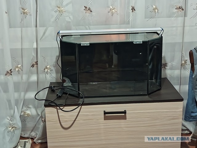 Как я себе на день рождения аквариум запилил