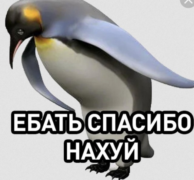 Ну, всё, пацаны… Выдыхайте!