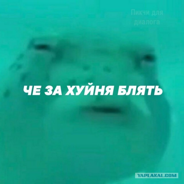 ФАС занялась ценами на рыбу