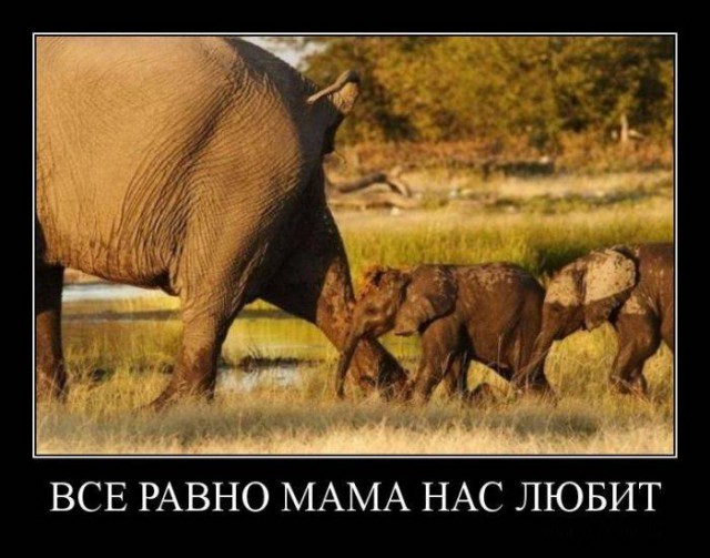 Демотиваторы.