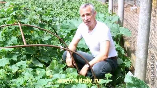 Предсказание сбылось?