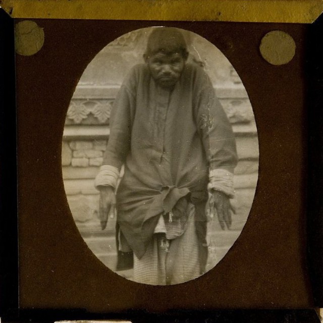 Самые известные дети-маугли: как сложились судьбы малышей, которые выросли среди животных