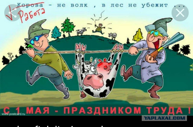 Котовторник  01.05.2018