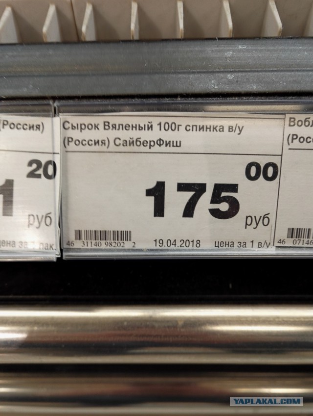 Новый пенсионный возраст в России: мужики не доживут, женщины — с трудом…