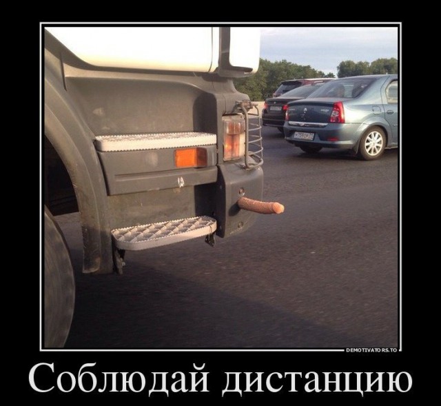 Лента прикольных картинок