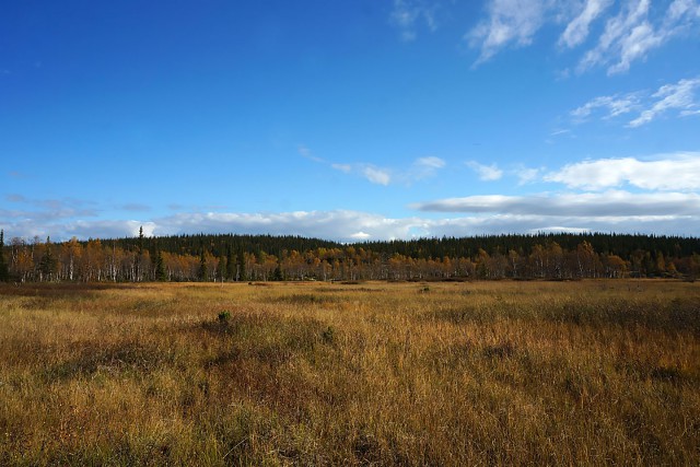 Осень. Заполярная рыбалка