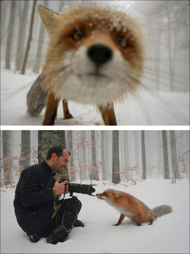 За кадрами некоторых фотографий