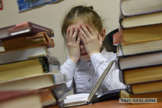 Российские родители перестали понимать школьную программу