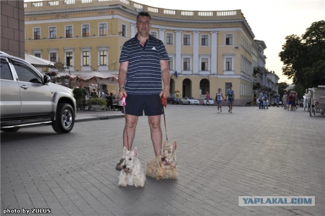 Ездил я в Одессу, значит