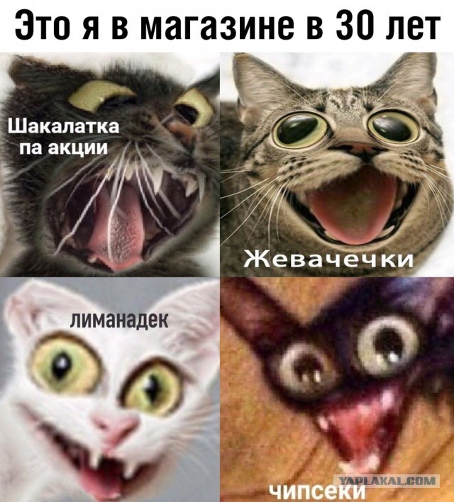 Картинки, смешные и не очень