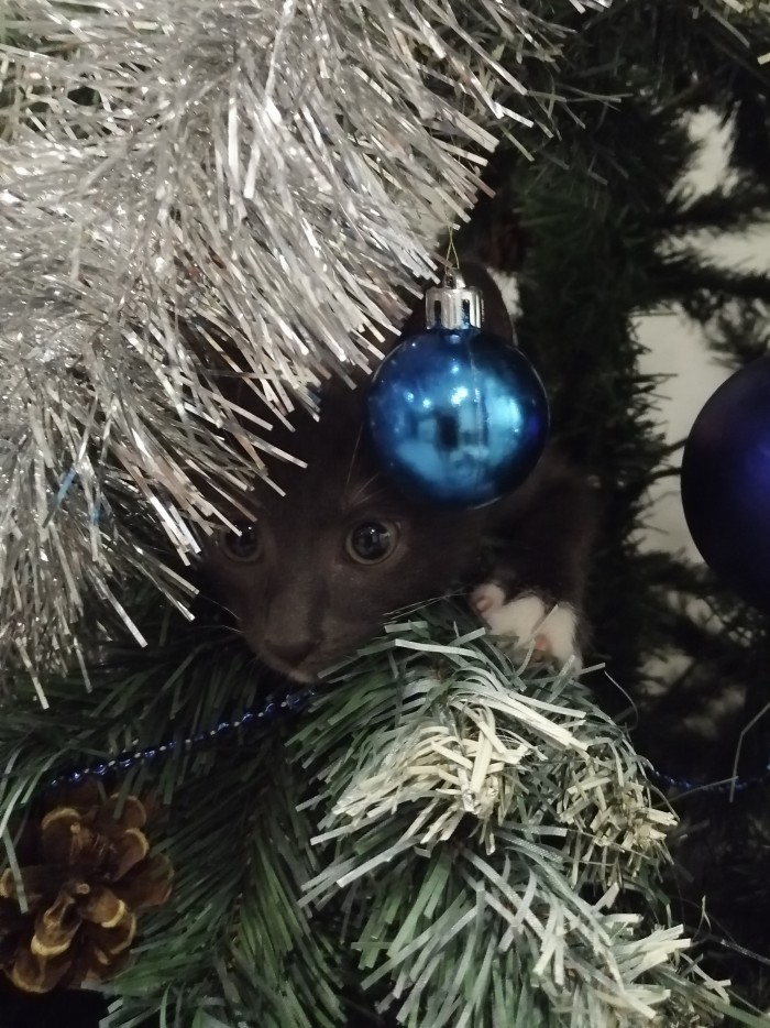 Цель опознана! Внимание - цель опознана!