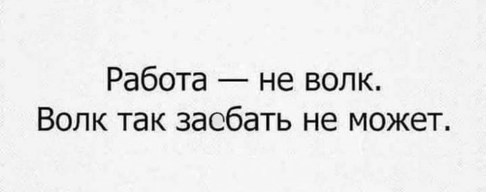Работа Не Волк Смешные Картинки