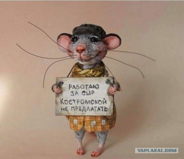 Чудо или когда помощь от государства действительно реальна