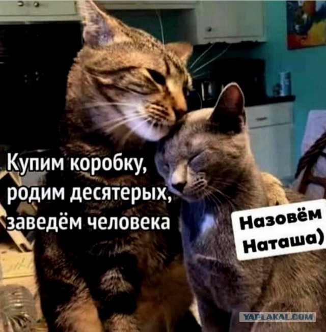 Картинки и мемы для настроения 007