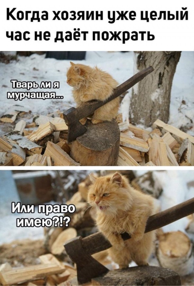 Разные картинки 01.02.2021