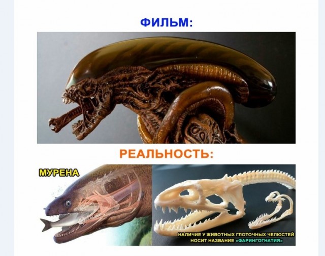 Картинки и мемы для настроения 019