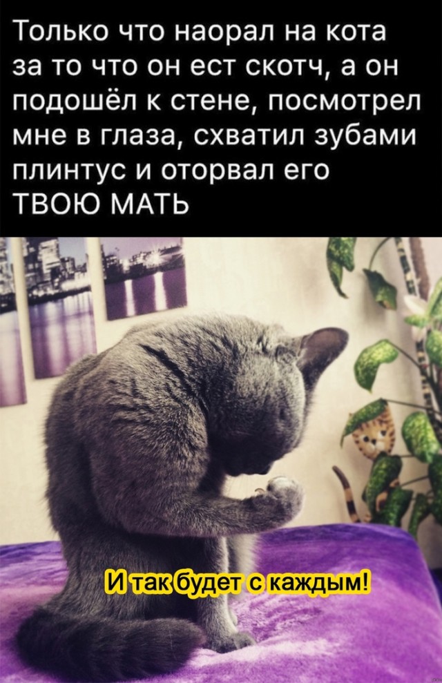 Так себе картинки 28.07.21