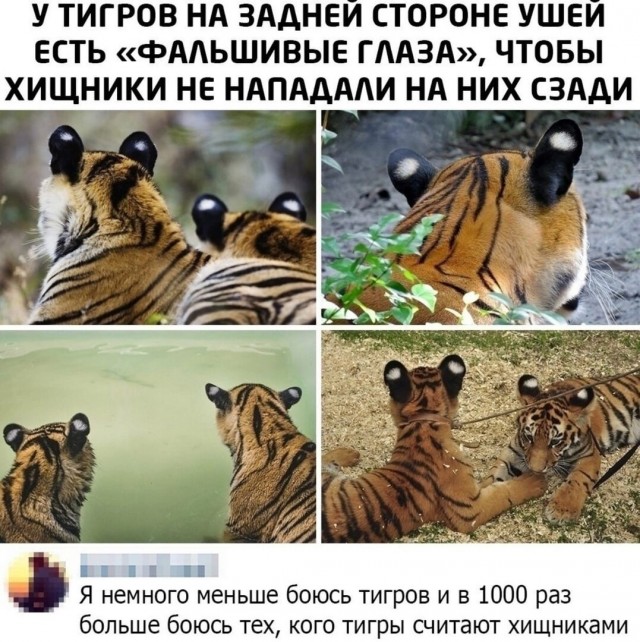 Картинки и мемы, всем прекрасных выходных