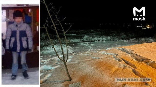 В Подмосковье 11-летний мальчик заблудился и замёрз насмерть