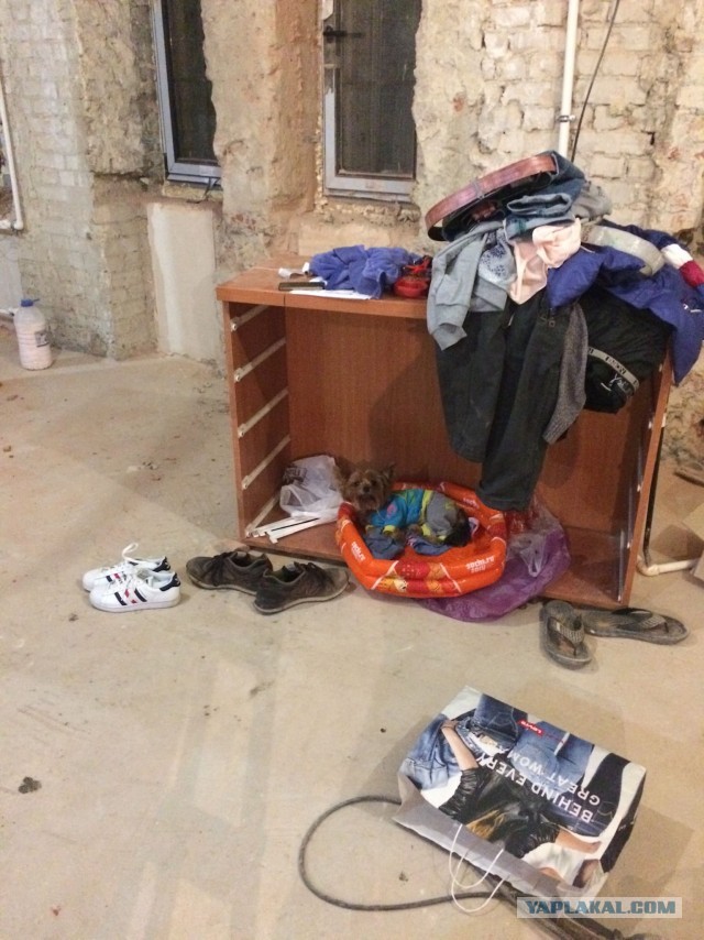 Ремонт квартиры с минус десяти