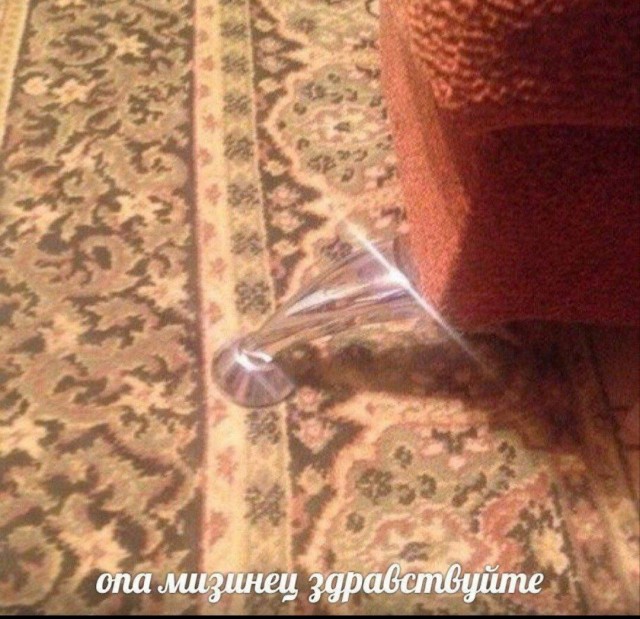Картиног подвезли